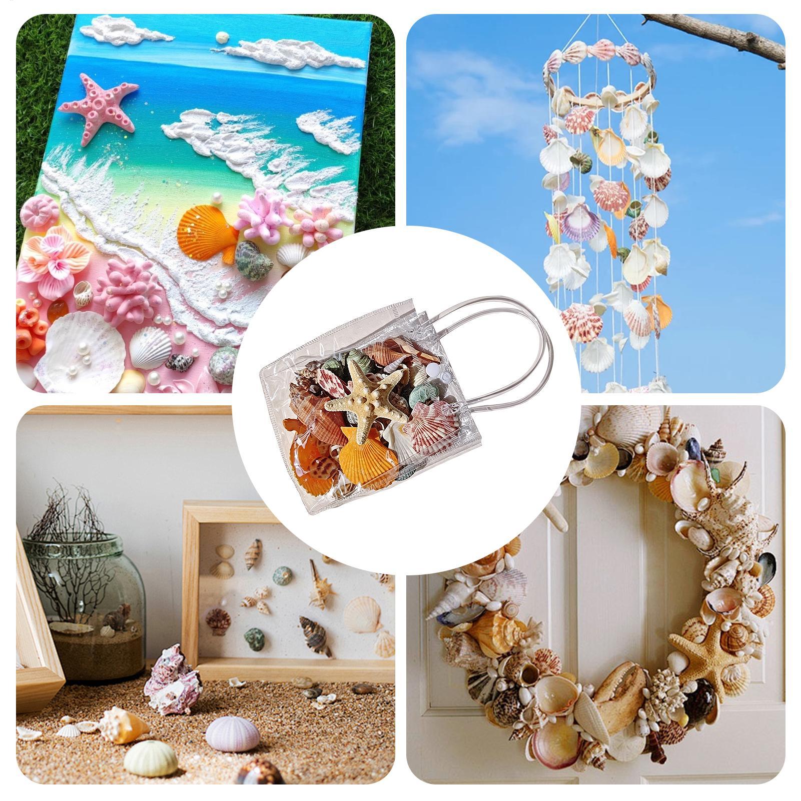 Tiny Seashells For Crafts Natu - Candle Making For Beginners ulasan dan harga