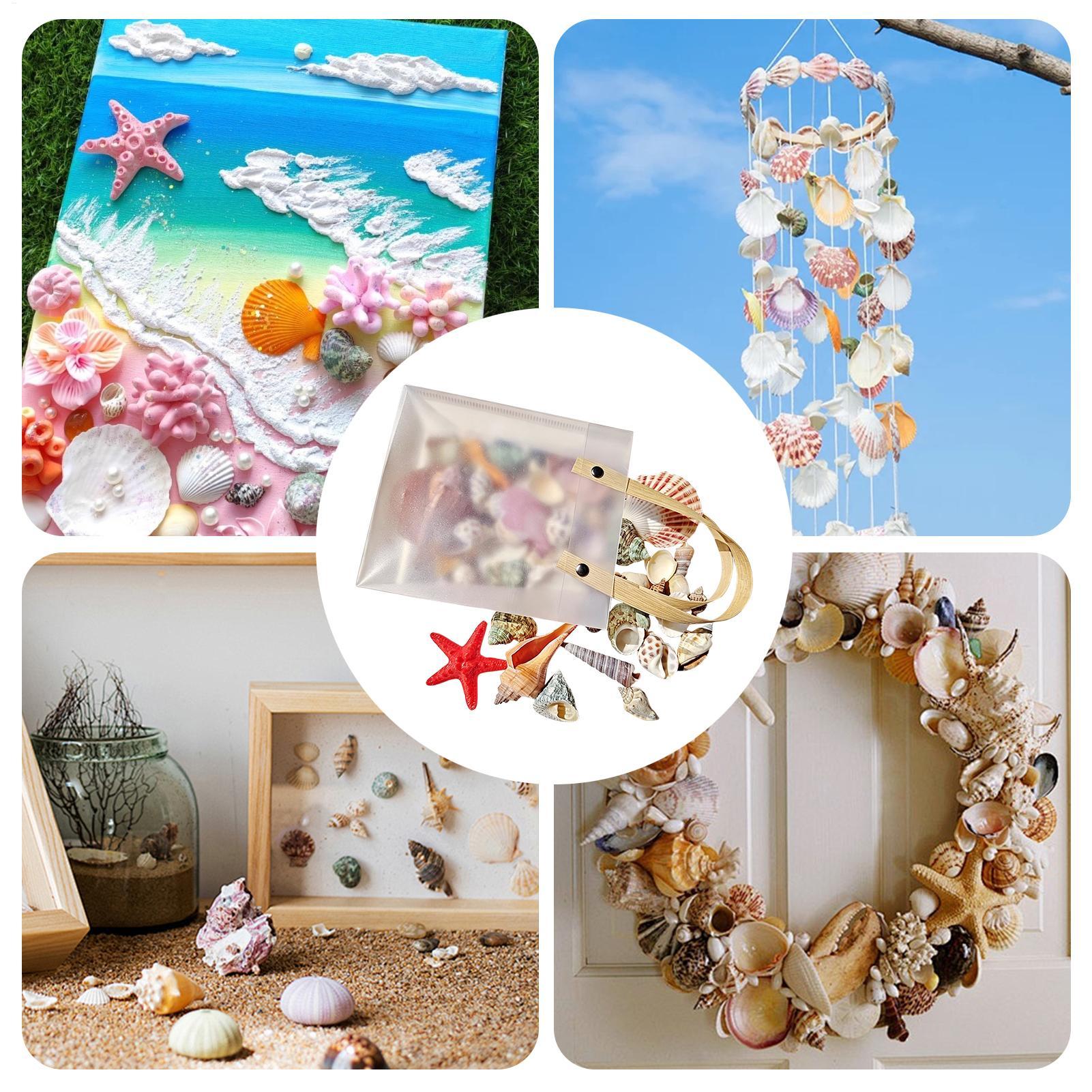 Tiny Seashells For Crafts Natu - Candle Making For Beginners ulasan dan harga