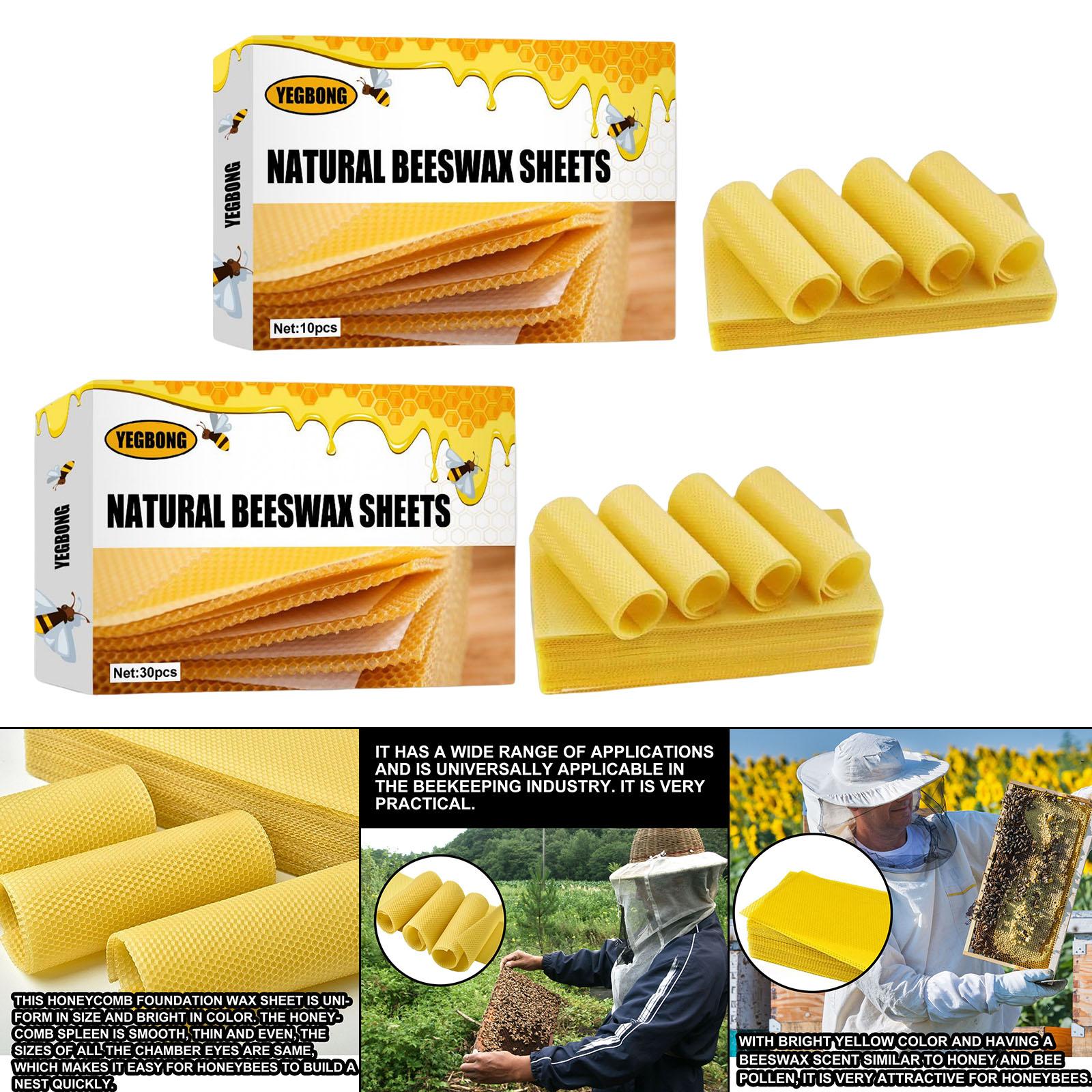Beeswax Sheets, Beekeeping Fou - Candle Making With Beeswax ulasan dan harga