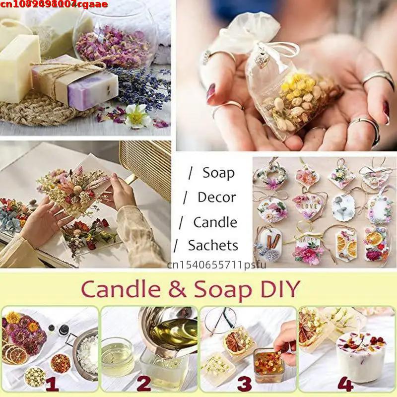 Quality Witch Beginner Natural - Candle Making For Beginners ulasan dan harga
